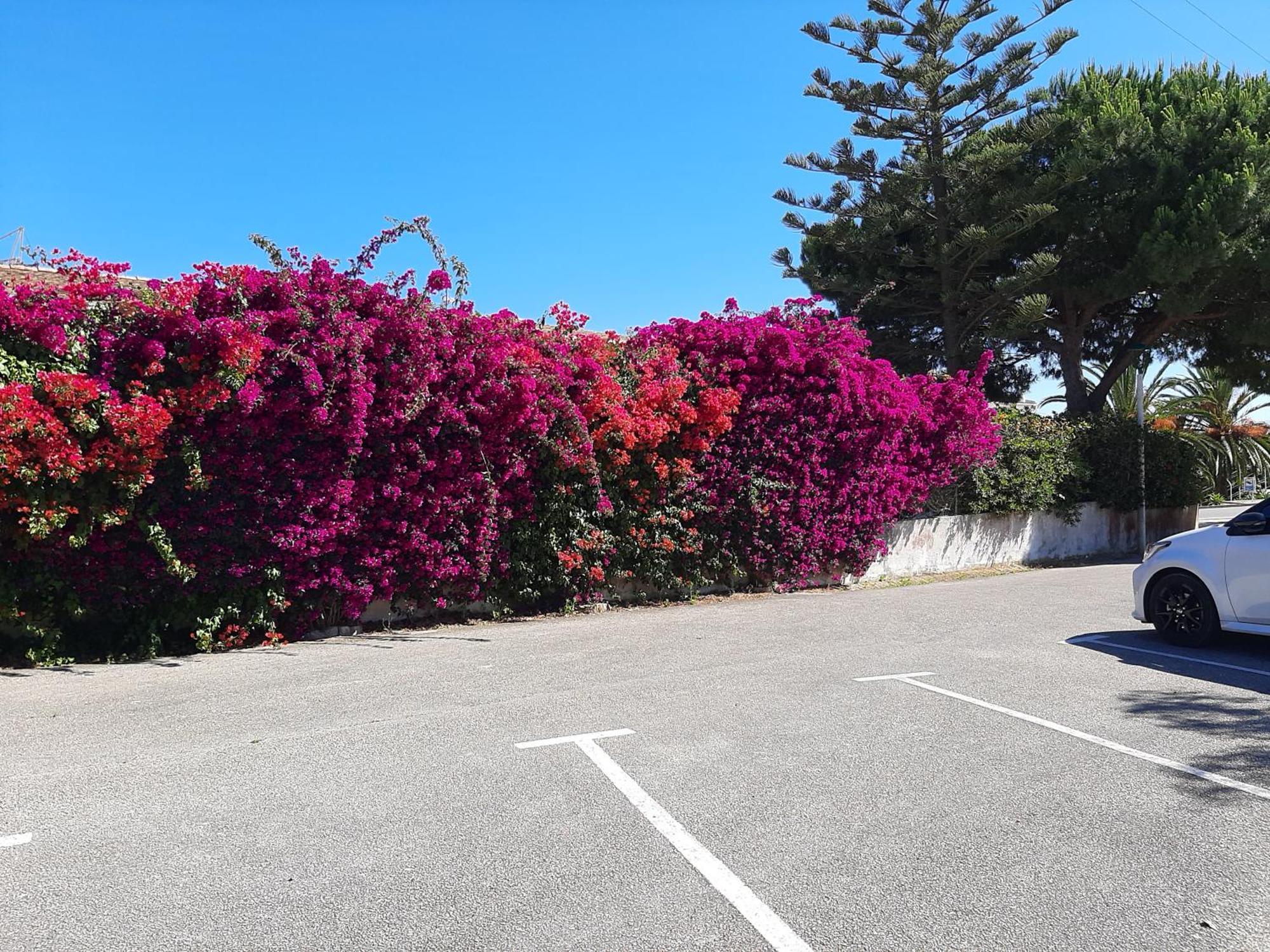 Lucie Lime Guesthouse Praia Da Luz Экстерьер фото